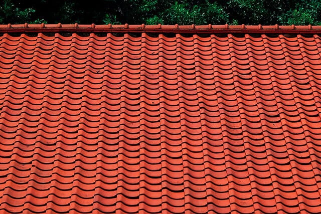 Roof Cleaning